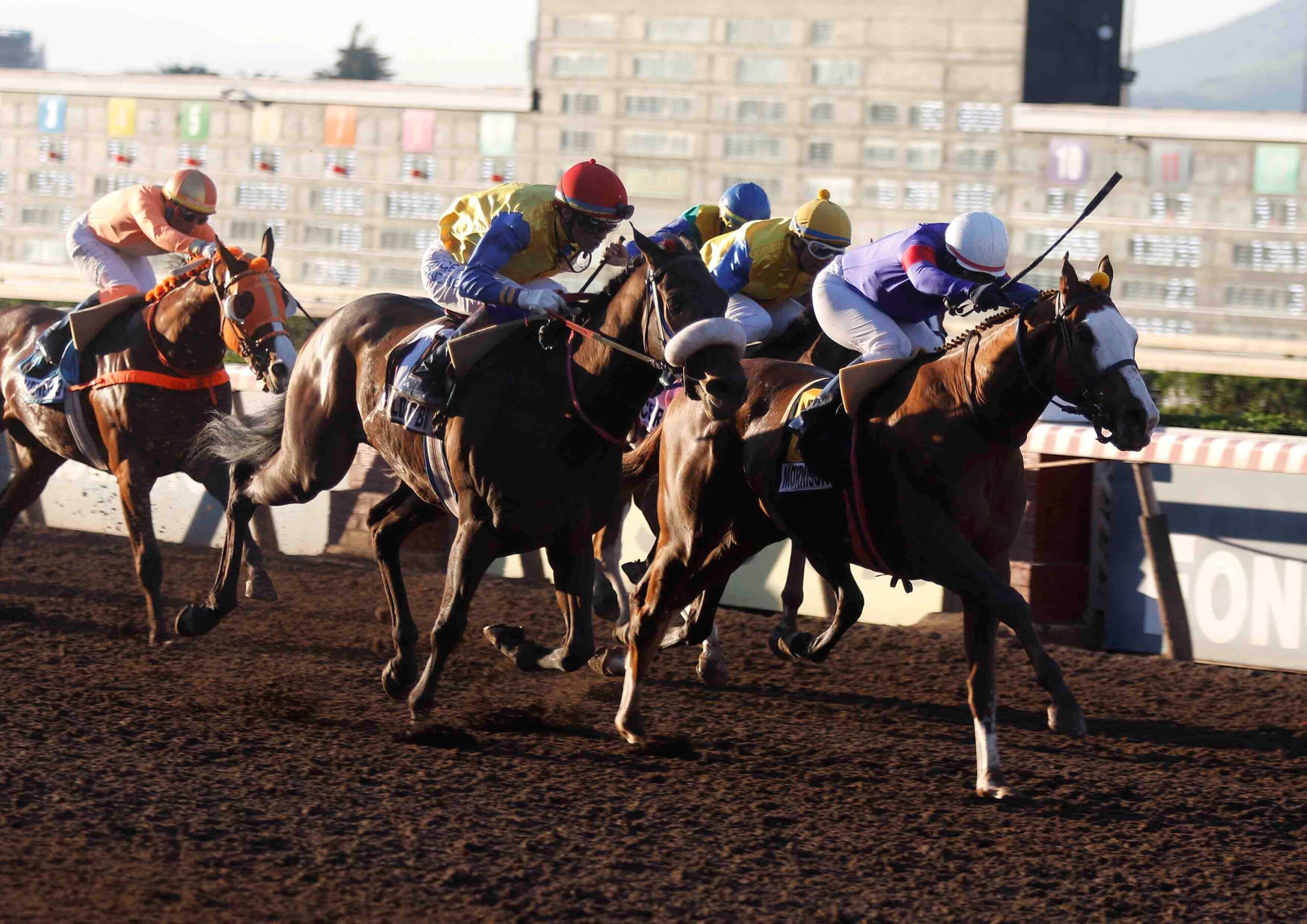 Morrison, horses, Tiz The Law, Clásico Dos Mil Guineas, sábado, 6 de septiembre de 2026, Hipódromo Chile. Foto: Jaime Cortés