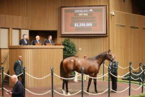 Potro, 642, Nyquist en Hot Cha por Bernardini, sesión 3, Keeneland Sales, miércoles, 16 de septiembre de 2026, Keeneland. Foto: Keeneland