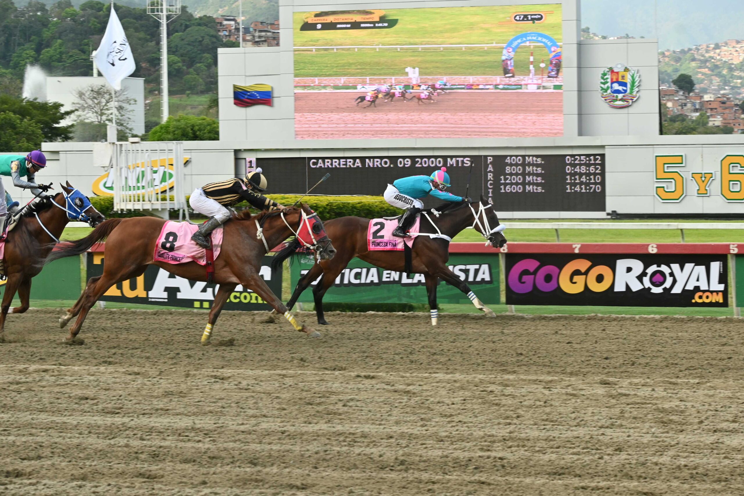 Princesa Fina, horse, Haras La Orlyana, Clásico Hípica Nacional, domingo, 27 de septiembre de 2026, La Rinconada. Foto: José Antonio Aray