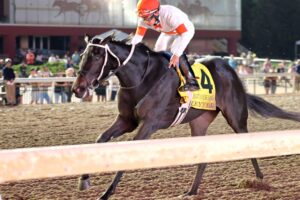 Rileytole, horse, Mitole, Remington Park Oaks, domingo, 27 de septiembre de 2026, Remington Park. Foto: Coady Media