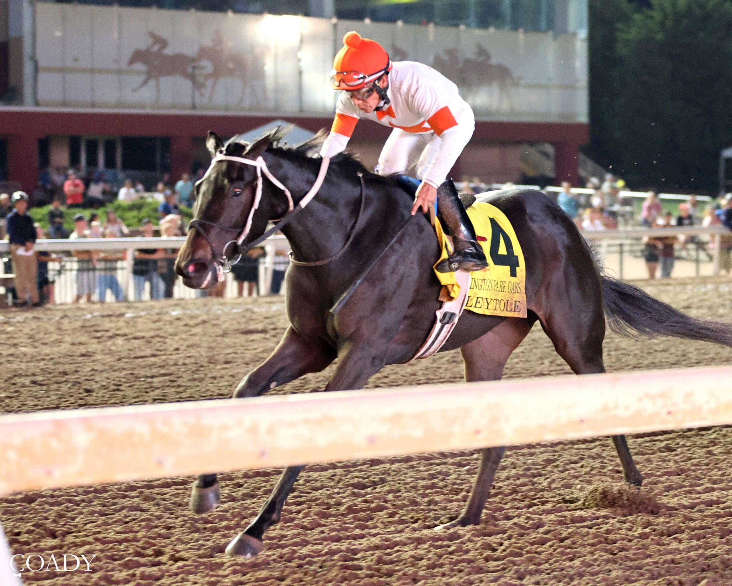 Rileytole, horse, Mitole, Remington Park Oaks, domingo, 27 de septiembre de 2026, Remington Park. Foto: Coady Media