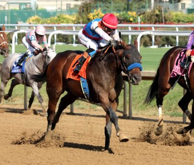 Salahudin, horse, Uncle Mo, Iroquois Stakes, sábado, 12 de septiembre de 2026, Churchill Downs. Foto: Coady Media