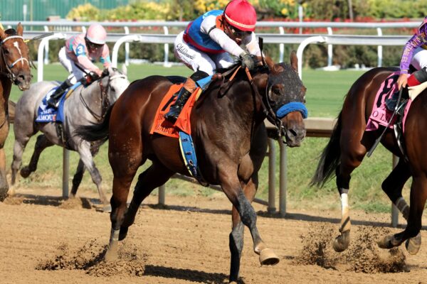 Salahudin, horse, Uncle Mo, Iroquois Stakes, sábado, 12 de septiembre de 2026, Churchill Downs. Foto: Coady Media