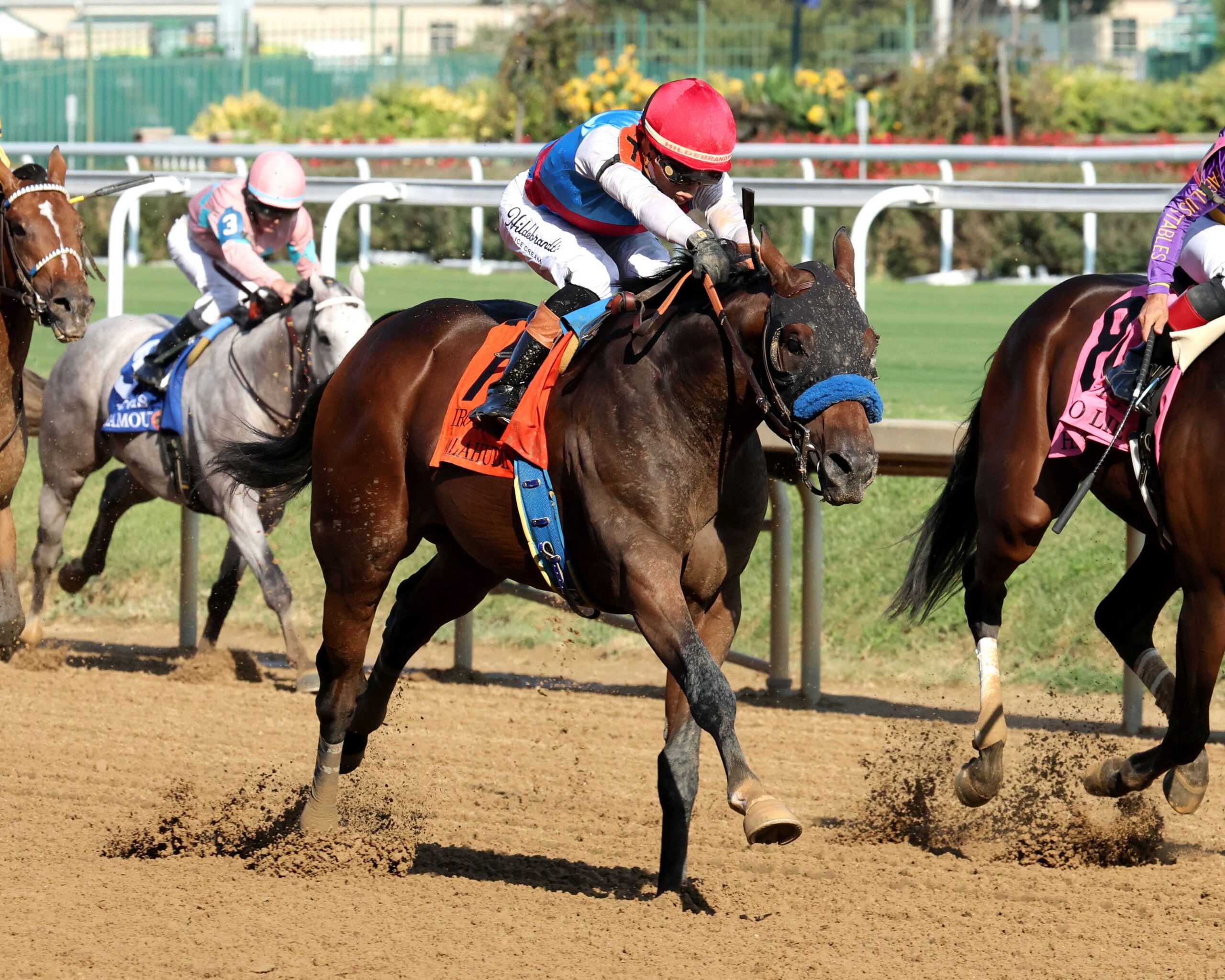 Salahudin, horse, Uncle Mo, Iroquois Stakes, sábado, 12 de septiembre de 2026, Churchill Downs. Foto: Coady Media