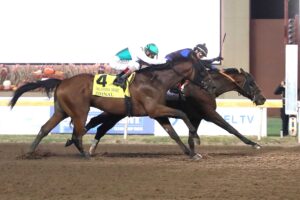 Silent Tactic, horse, Tacitus, Oklahoma Derby, domingo, 27 de septiembre de 2026, Remington Park. Foto: Coady Media