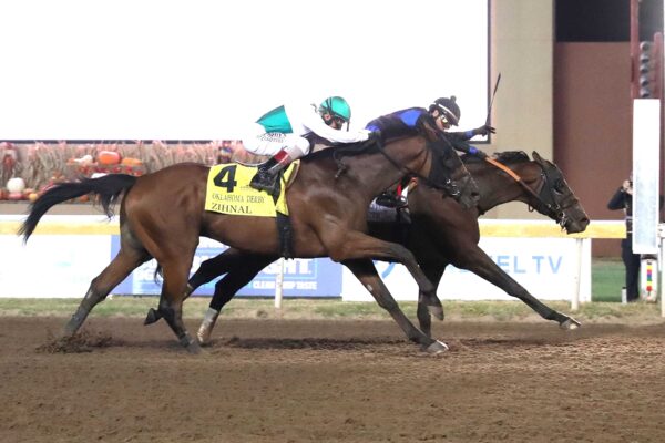 Silent Tactic, horse, Tacitus, Oklahoma Derby, domingo, 27 de septiembre de 2026, Remington Park. Foto: Coady Media