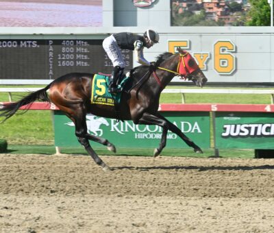 Tuscan Gold, horse, Stonestreet Thoroughbred Holdings, Clásico Propietarios de La Rinconada, domingo, 6 de septiembre de 2026, La Rinconada. Foto: José Antonio Aray