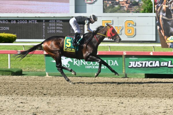 Tuscan Gold, horse, Stonestreet Thoroughbred Holdings, Clásico Propietarios de La Rinconada, domingo, 6 de septiembre de 2026, La Rinconada. Foto: José Antonio Aray