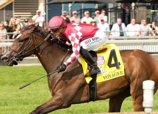 Voyager, horses, Stoneriggs Farm, Natalma Stakes G1, sábado, 12 de septiembre de 2026, Woodbine. Michael Burns Photography & Woodbine