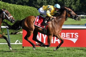 Evershed (IRE), horse, Churchill, West Point Stakes, viernes, 28 de agosto de 2026, Saratoga. Foto: Coglaniese Photo