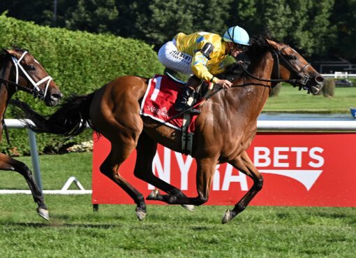 Evershed (IRE), horse, Churchill, West Point Stakes, viernes, 28 de agosto de 2026, Saratoga. Foto: Coglaniese Photo