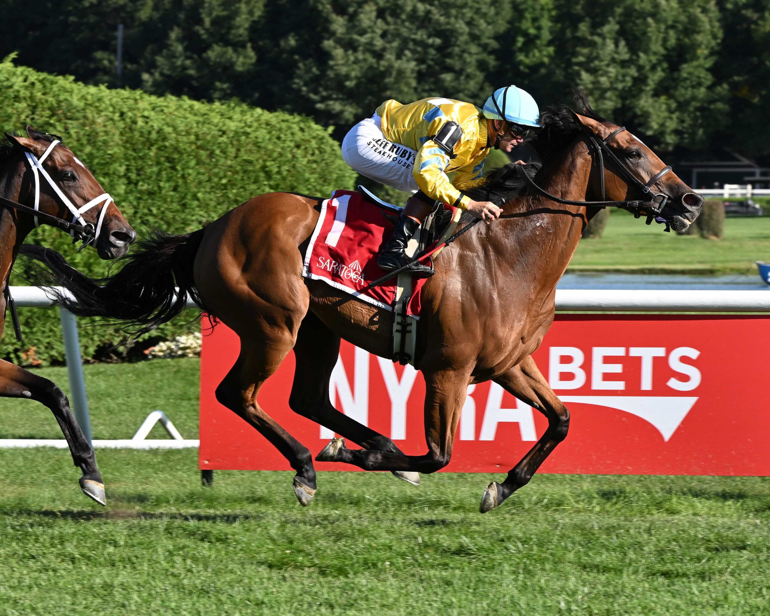 Evershed (IRE), horse, Churchill, West Point Stakes, viernes, 28 de agosto de 2026, Saratoga. Foto: Coglaniese Photo