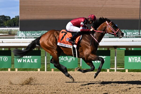 Forever Young, horse, Real Steel, Jockey Club Gold Cup Stakes, viernes, 18 de septiembre de 2026, Belmont Park. Foto: Coglaniese Photo