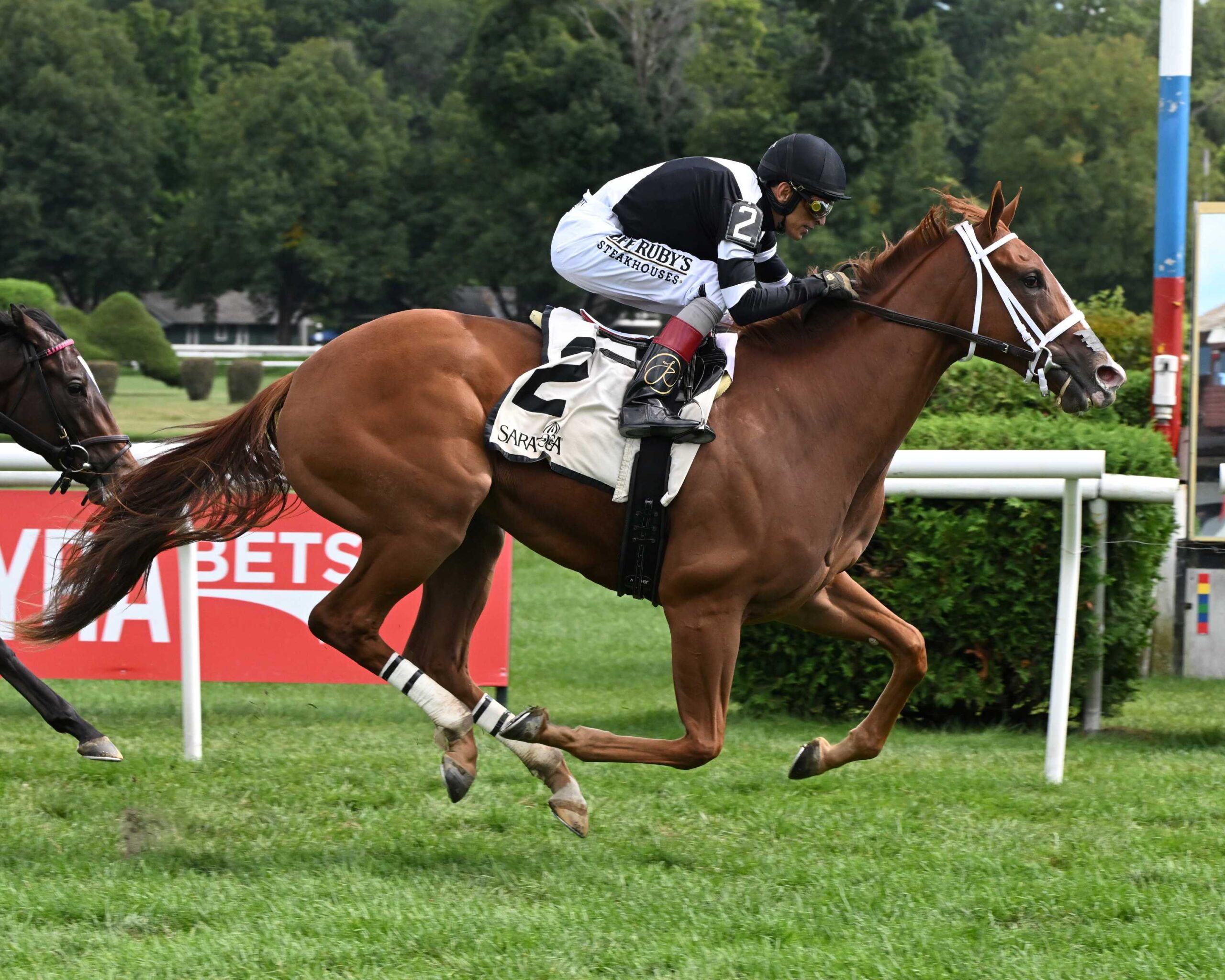 Glycogen, horses, Jack Christopher, P. G. Johnson Stakes, viernes, 4 de septiembre de 2026, Saratoga. Foto: Coglaniese Photo