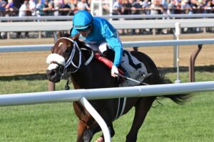 Go For Launch, horse, Flightline, Bolton Landing Stakes, miércoles, 26 de agosto de 2026, Saratoga. Foto: Coglaniese Photo & Chelsea Durand