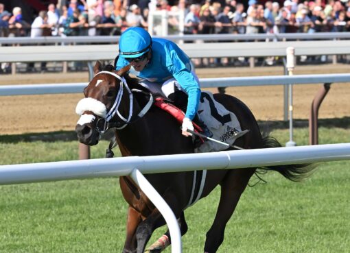 Go For Launch, horse, Flightline, Bolton Landing Stakes, miércoles, 26 de agosto de 2026, Saratoga. Foto: Coglaniese Photo & Chelsea Durand