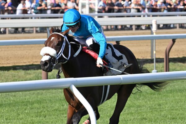 Go For Launch, horse, Flightline, Bolton Landing Stakes, miércoles, 26 de agosto de 2026, Saratoga. Foto: Coglaniese Photo & Chelsea Durand