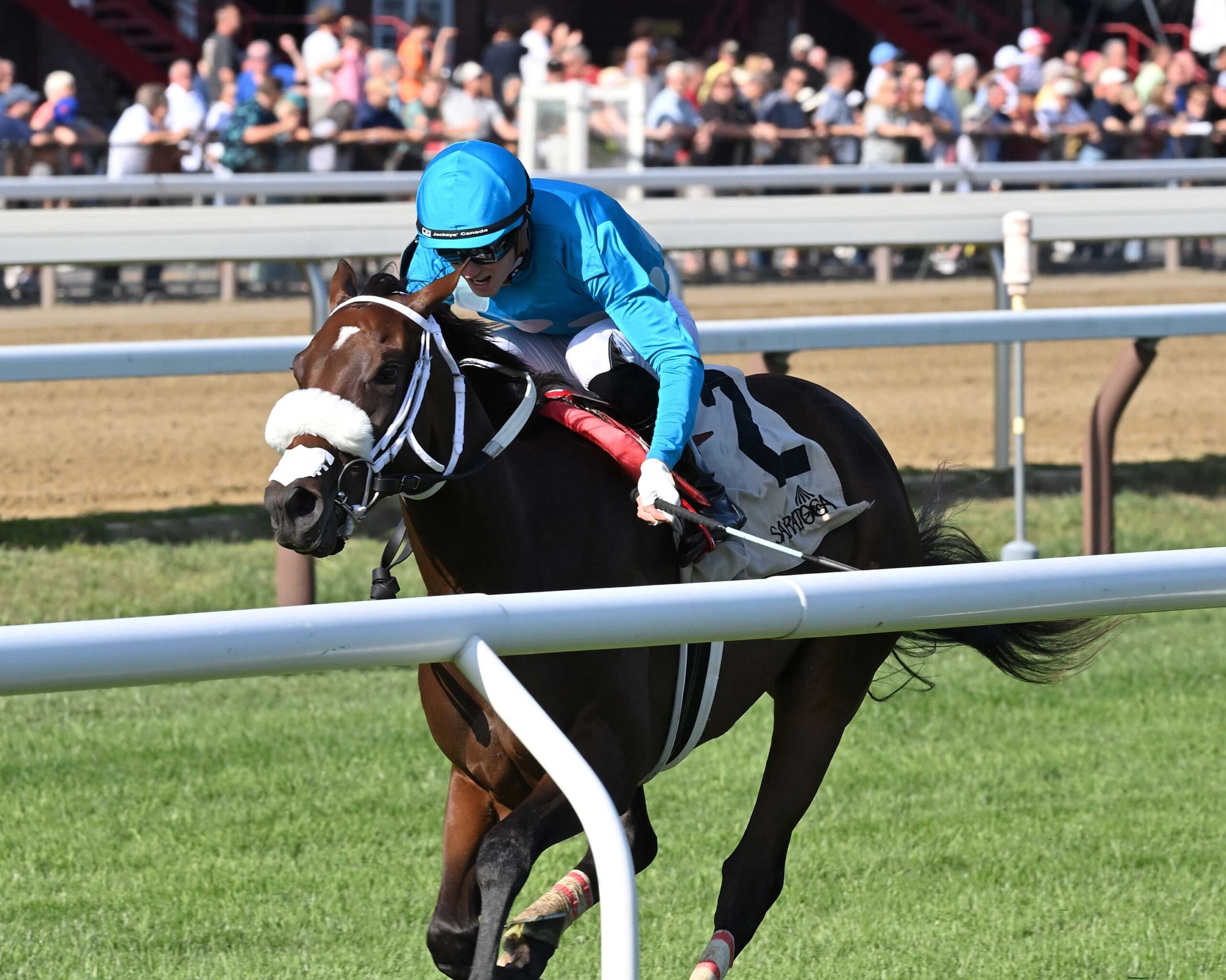 Go For Launch, horse, Flightline, Bolton Landing Stakes, miércoles, 26 de agosto de 2026, Saratoga. Foto: Coglaniese Photo & Chelsea Durand
