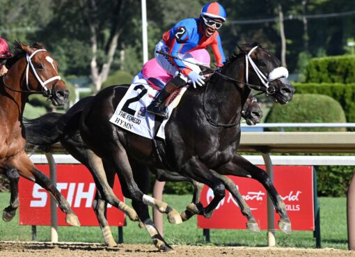 Hymn, horses, McKinzie, Forego Stakes, sábado, 29 de agosto de 2026, Saratoga. Foto: Coglaniese Photo