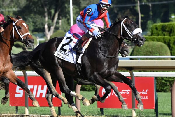 Hymn, horses, McKinzie, Forego Stakes, sábado, 29 de agosto de 2026, Saratoga. Foto: Coglaniese Photo