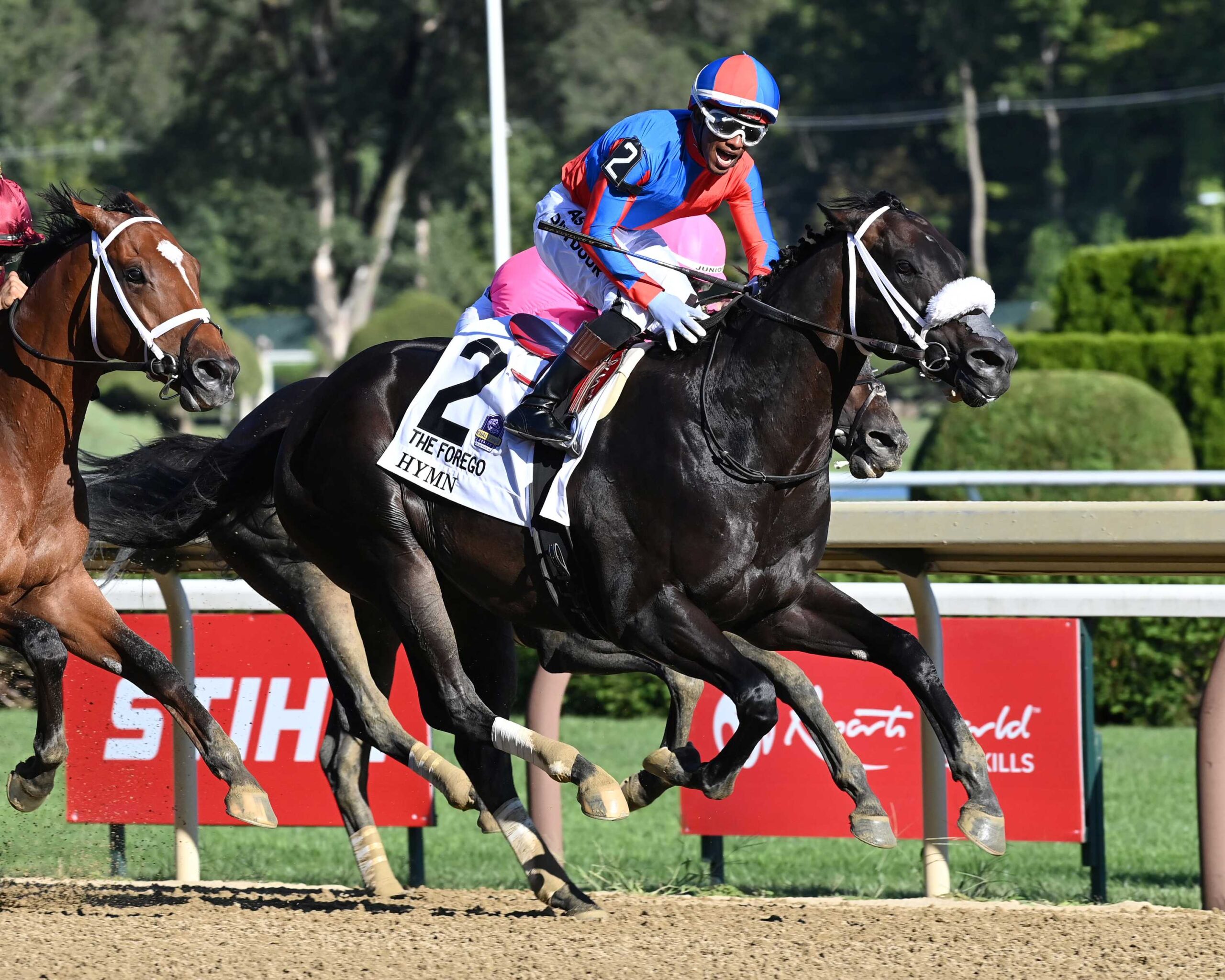 Hymn, horses, McKinzie, Forego Stakes, sábado, 29 de agosto de 2026, Saratoga. Foto: Coglaniese Photo