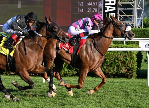 Jean Valjean, horse, Uncle Lino, Prioress Stakes, domingo, 6 de septiembre de 2026, Saratoga. Foto: Coglaniese Photo