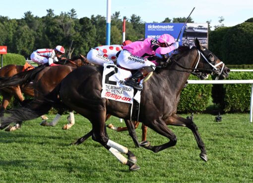 Kupuna, horses, Stronestreet Thoroughbred, Bernard Baruch stakes, jueves, 3 de septiembre de 2026, Saratoga. Foto: Coglaniese Photo