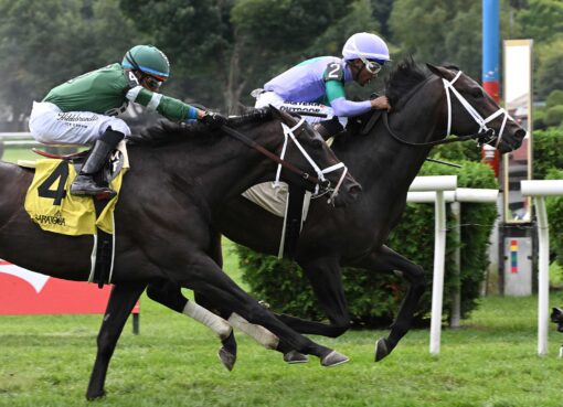 Liam´s Law, horse, Colonel Liam, With Anticipation Stakes, sábado, 5 de septembre de 2026, Saratoga. Foto: Coglaniese Photo