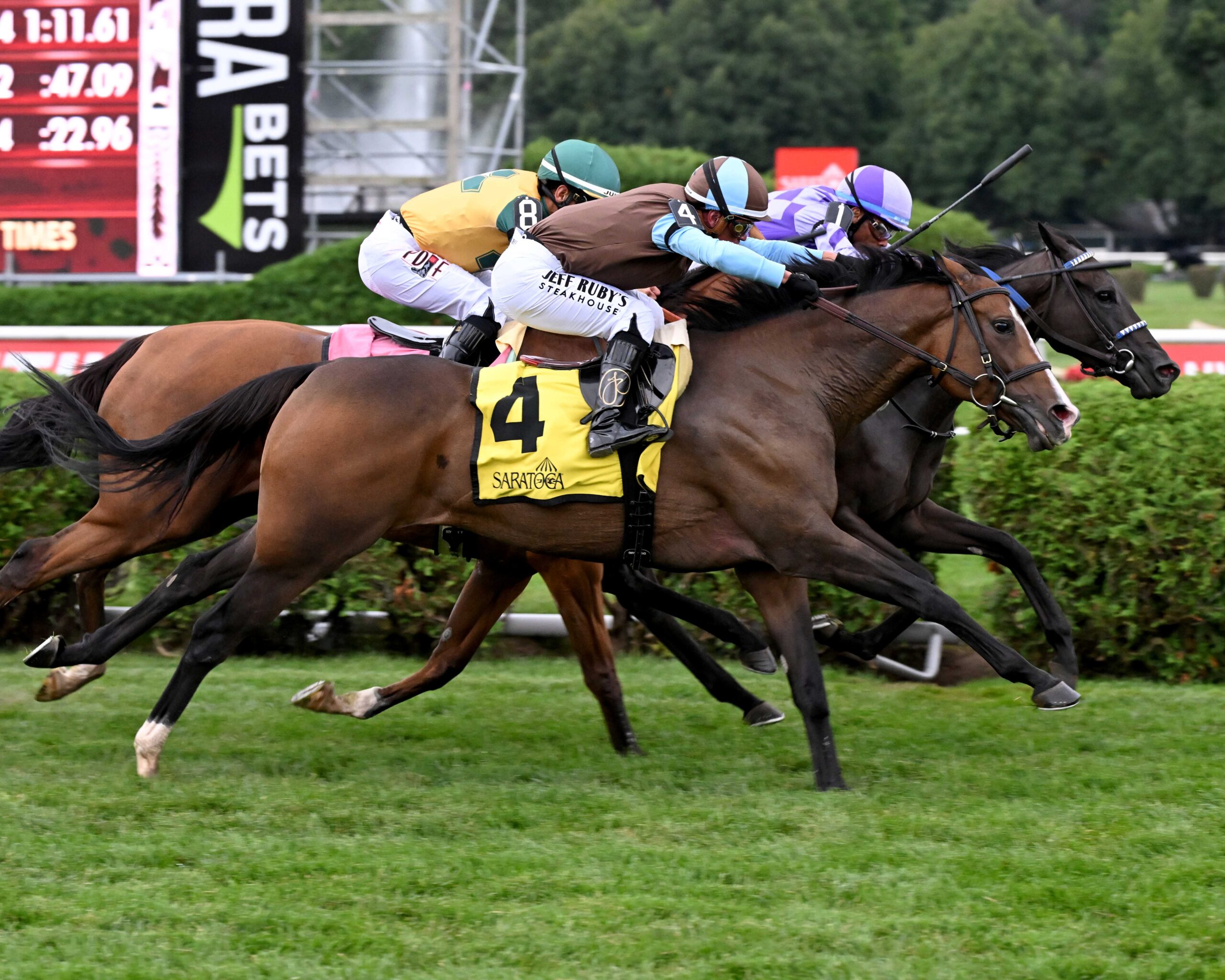 Midnight Concerto, horse, Mendelssohn, Yaddo Stakes, domingo, 30 de agosto de 2026, Saratoga. Foto: Coglaniese Photo