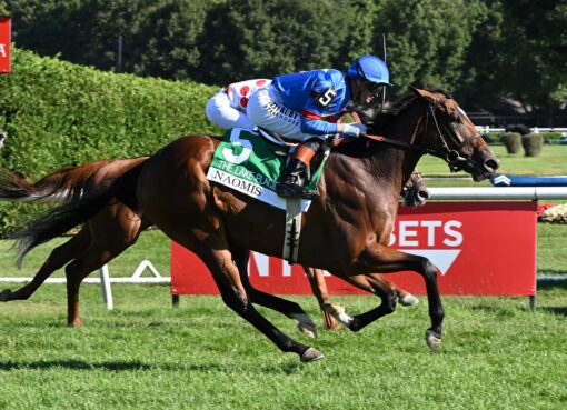 Naomis, horse, City Of Light Lake Placid Stakes, sábado, 29 de agosto de 2026, Saratoga. Foto: Coglaniese Photo