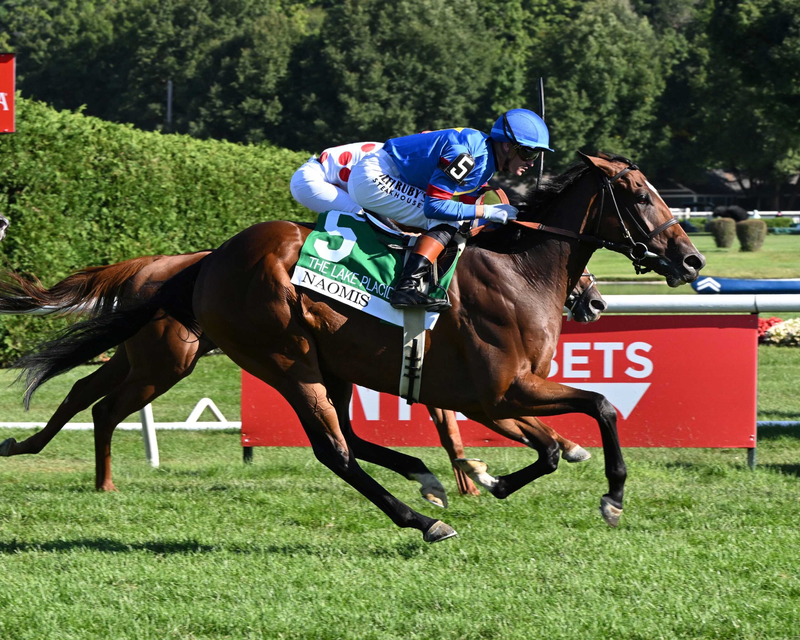Naomis, horse, City Of Light Lake Placid Stakes, sábado, 29 de agosto de 2026, Saratoga. Foto: Coglaniese Photo