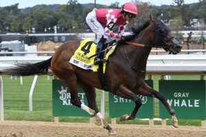 Nitrogen, horse, Medaglia D´Oro, Beldame Stakes, viernes, 26 de septiembre de 2026, Belmont Park. Foto: Coglaniese Photo