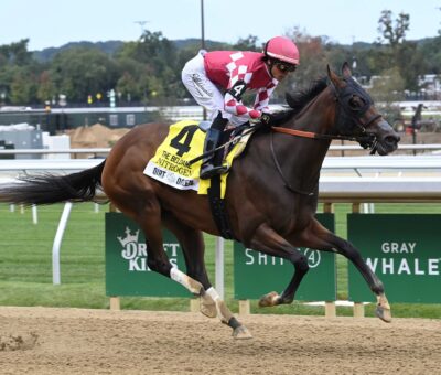 Nitrogen, horse, Medaglia D´Oro, Beldame Stakes, viernes, 26 de septiembre de 2026, Belmont Park. Foto: Coglaniese Photo