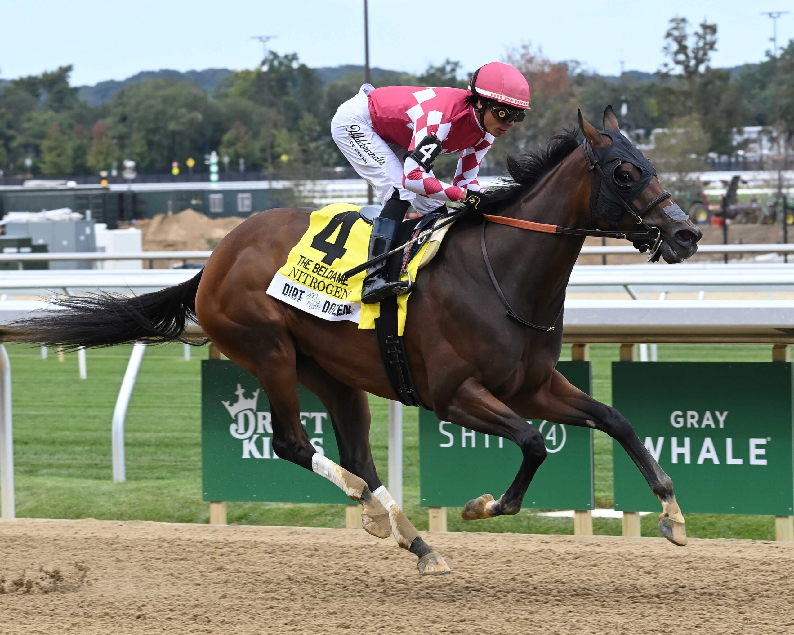 Nitrogen, horse, Medaglia D´Oro, Beldame Stakes, viernes, 26 de septiembre de 2026, Belmont Park. Foto: Coglaniese Photo