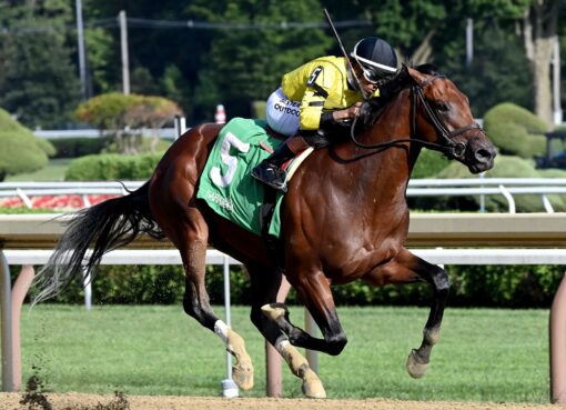 Scramjet, horse, Uncle Mo, Funny Cide Stakes, lunes, 7 de septiembre de 2026, Saratoga. Foto: Coglaniese Photo