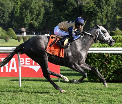 Siyouincanada, horse, Siyouni, Funny Cide Stakes, lunes, 7 de septiembre de 2026, Saratoga. Foto: Coglaniese Photo