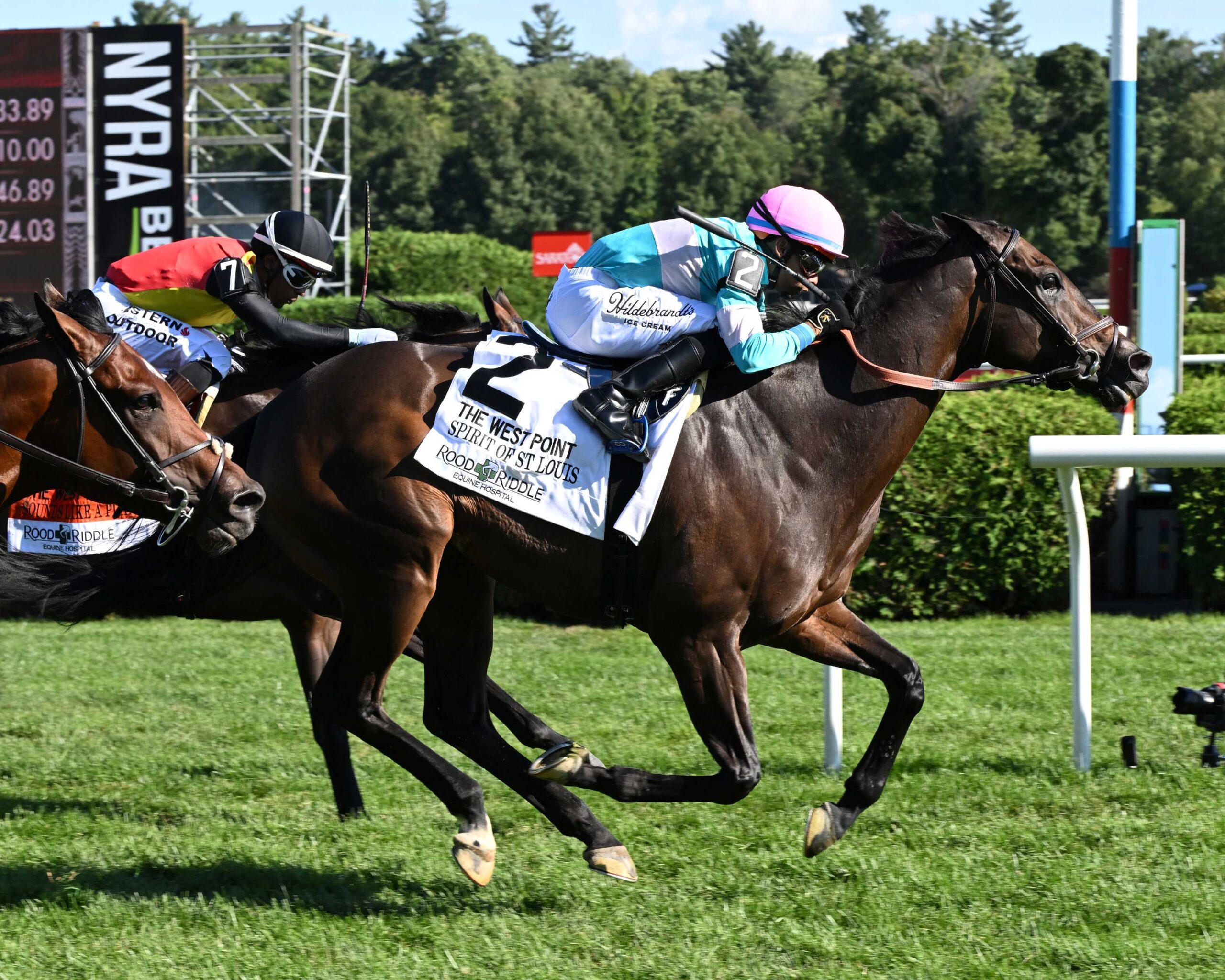 Spirit Of St Louis, horse, Medaglia D´Oro, West Point Stakes, viernes, 28 de agosto de 2026, Saratoga. Foto: Coglaniese Photo