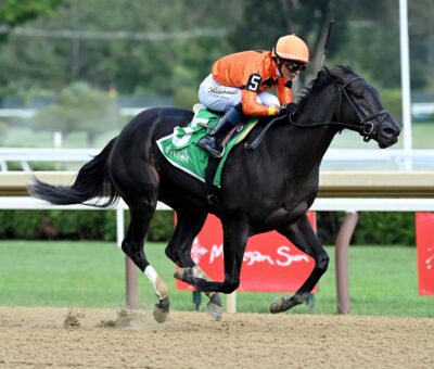 Velora, horse, Yaupon, Seeking The Ante Stakes, sábado, 4 de septiembre de 2026, Saratoga. Foto: Coglaniese Photo