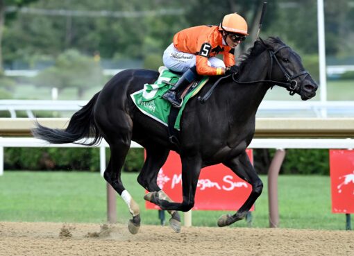 Velora, horse, Yaupon, Seeking The Ante Stakes, sábado, 4 de septiembre de 2026, Saratoga. Foto: Coglaniese Photo
