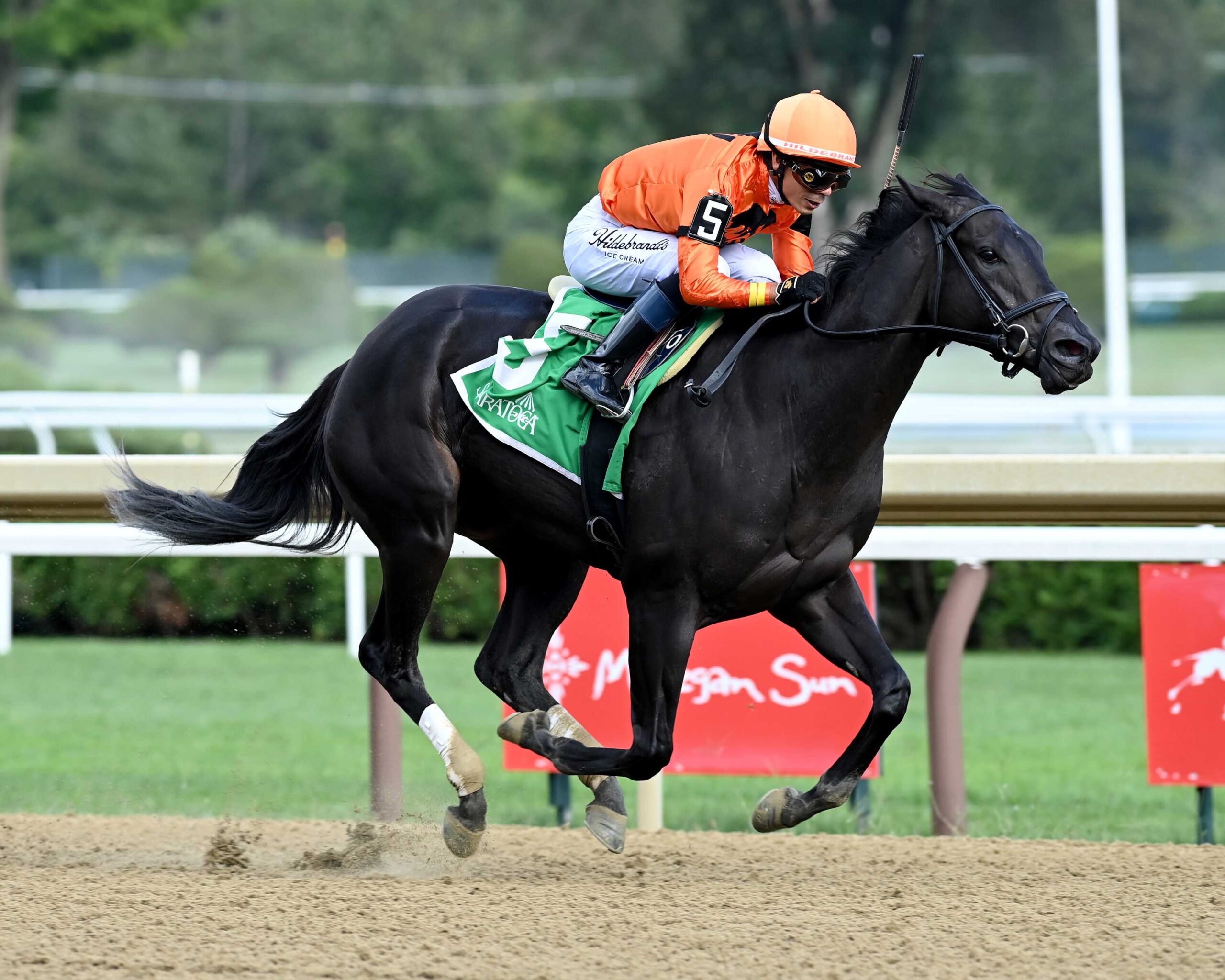 Velora, horse, Yaupon, Seeking The Ante Stakes, sábado, 4 de septiembre de 2026, Saratoga. Foto: Coglaniese Photo