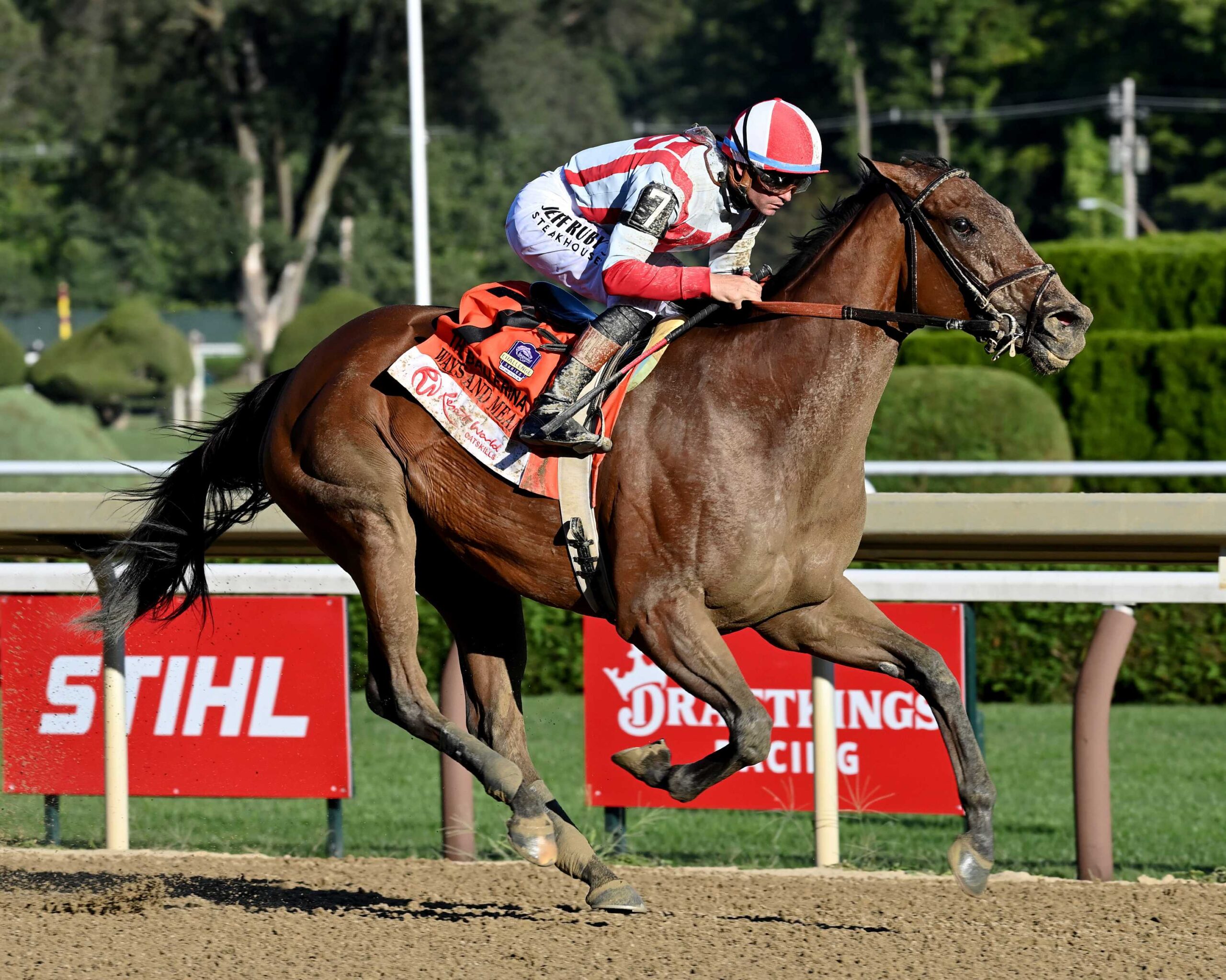 Ways And Means, horses, Practical Joke, Ballerina Stakes, sábado, 29 de agosto de 2026, Saratoga. Foto: Coglaniese Photo