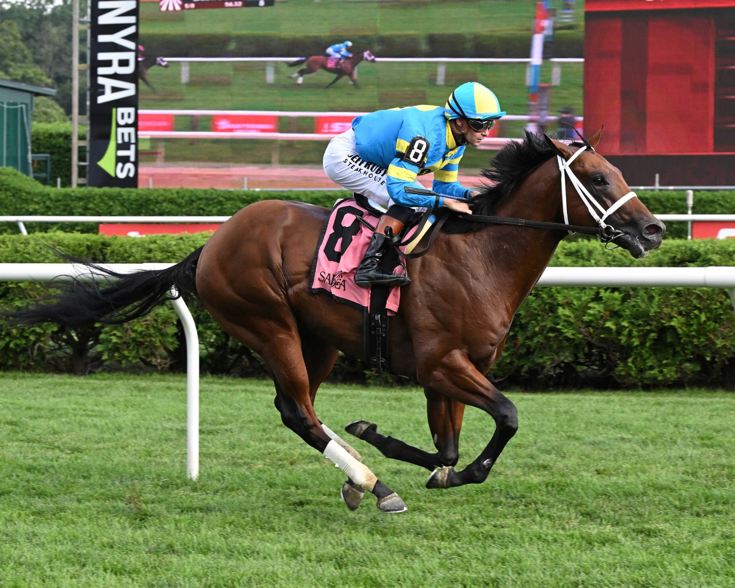 Wood Island, horse, Jackie´s Warrior, Skidmore Stakes, jueves, 27 de agosto de 2026, Saratoga. Foto: Coglaniese Photo