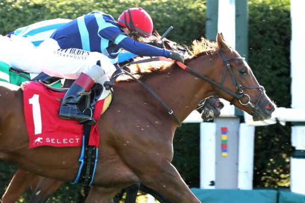 Adonius, horses, Soldier´s Call (GB), Indian Summer Stakes, domingo, 4 de octubre de 2026, Keeneland. Foto: @coadymediaUSA