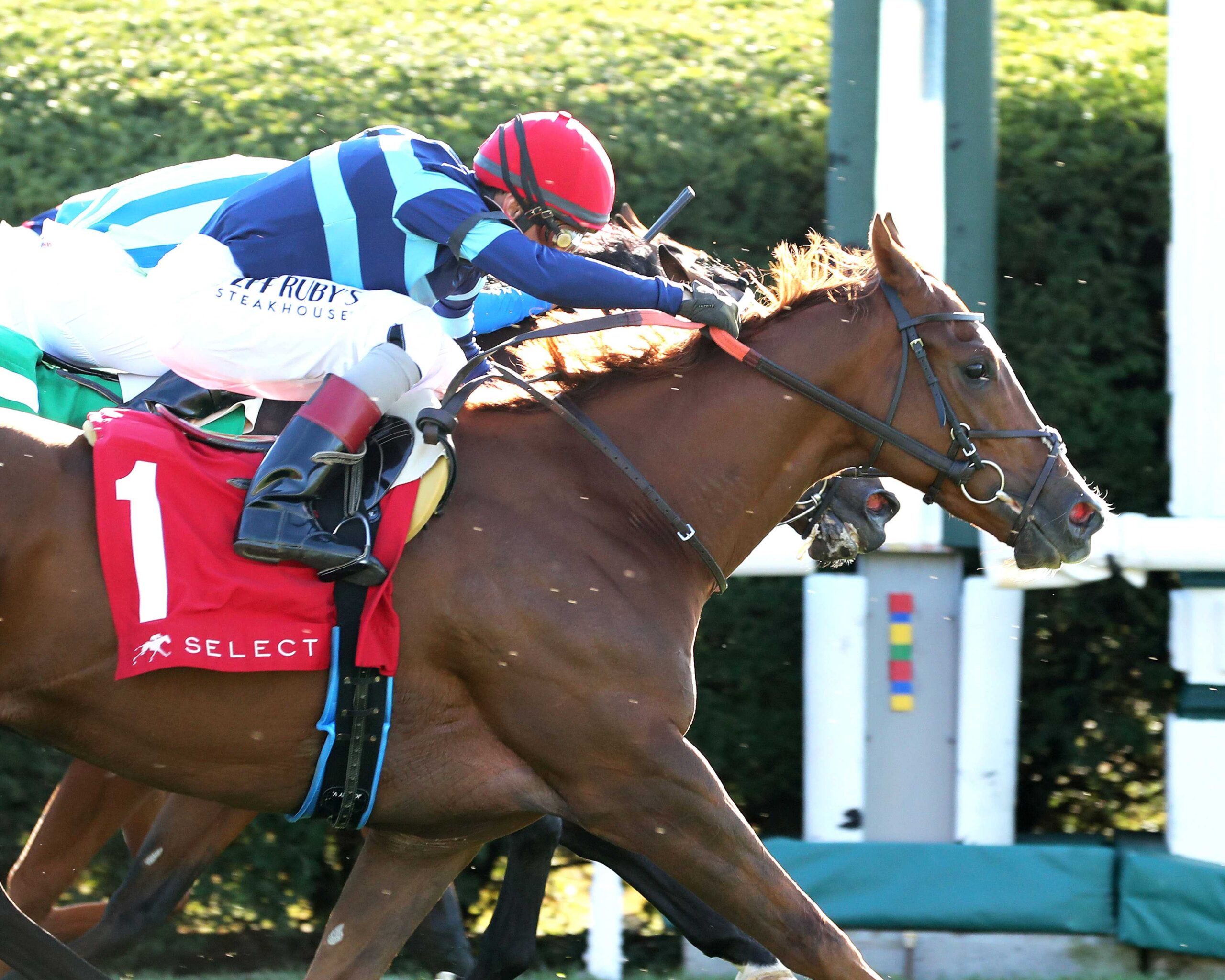 Adonius, horses, Soldier´s Call (GB), Indian Summer Stakes, domingo, 4 de octubre de 2026, Keeneland. Foto: @coadymediaUSA