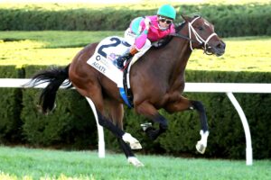 Agate, horse, Karakontie, Castle Key Bourbon Stakes, domingo, 4 de octubre de 2026, Keeneland. Foto: @coadymediaUSA