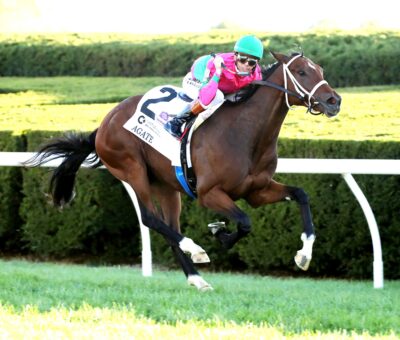 Agate, horse, Karakontie, Castle Key Bourbon Stakes, domingo, 4 de octubre de 2026, Keeneland. Foto: @coadymediaUSA