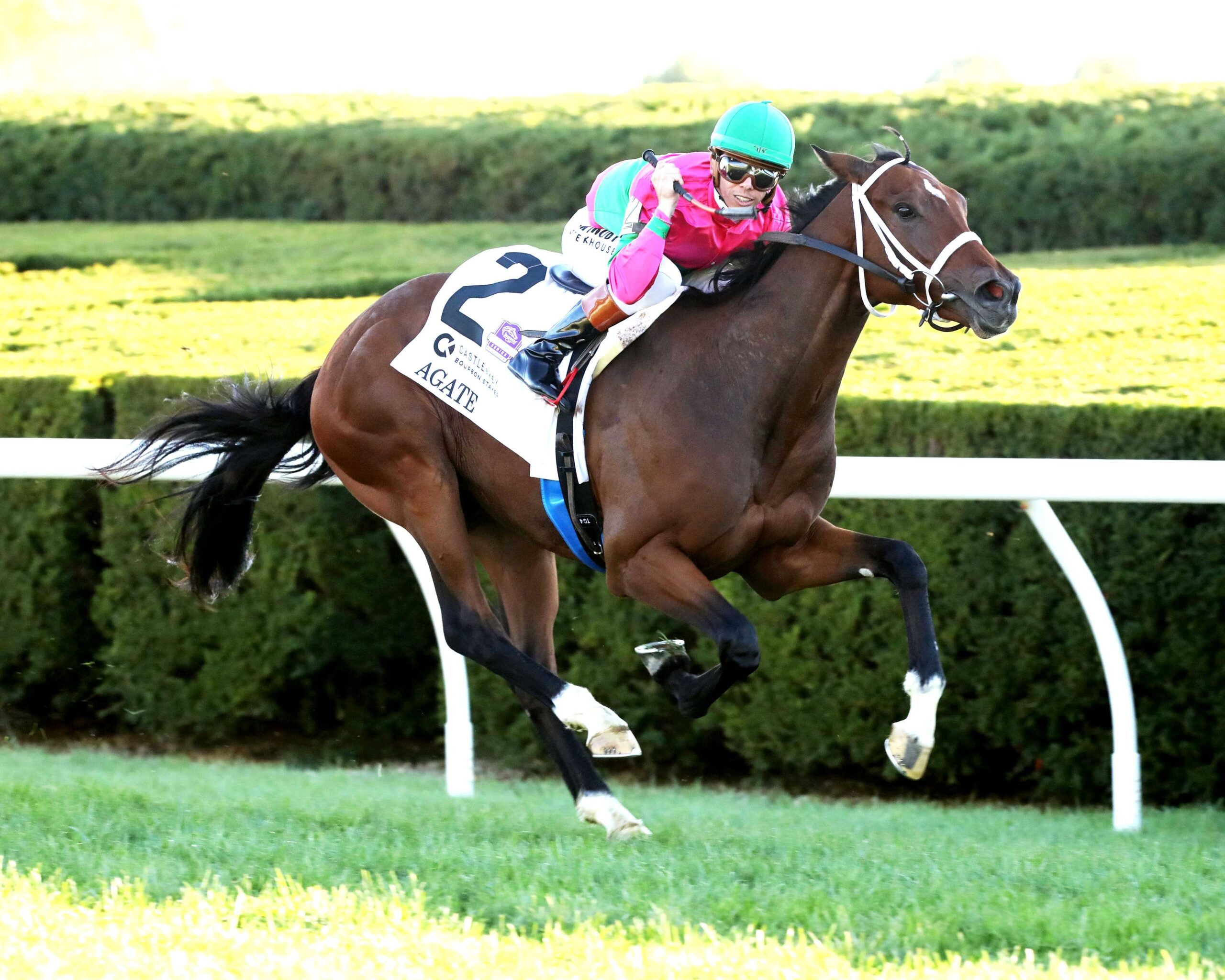 Agate, horse, Karakontie, Castle Key Bourbon Stakes, domingo, 4 de octubre de 2026, Keeneland. Foto: @coadymediaUSA