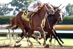 American History, horses, WinStar Farm, Breeders Futurity, sábado, 3 de octubre de 2026 Keeneland. Foto: @coadymediaUSA