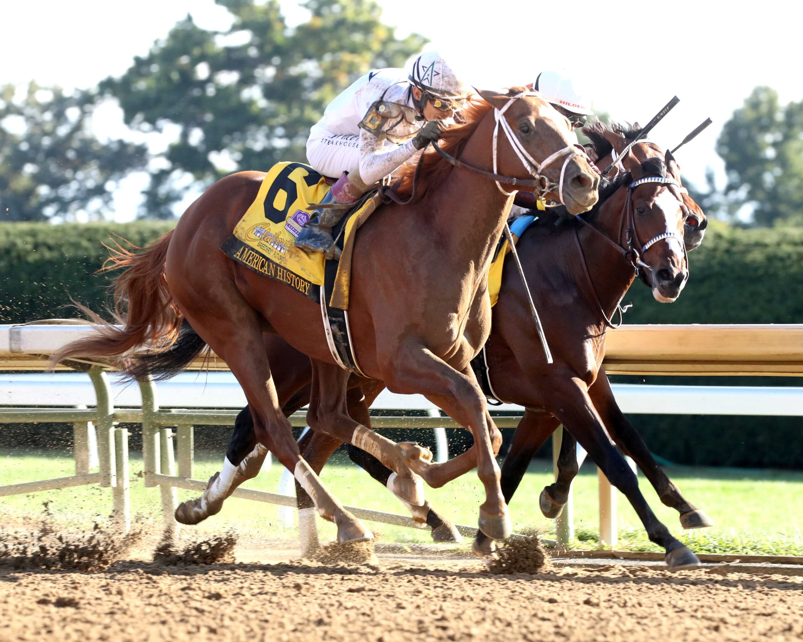 American History, horses, WinStar Farm, Breeders Futurity, sábado, 3 de octubre de 2026 Keeneland. Foto: @coadymediaUSA