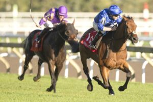 Arabian Crown, horses, Godolphin, Canadian International Stakes, sábado, 3 de octubre de 2026, Woodbine. Michael Burns Photography & Woodbine
